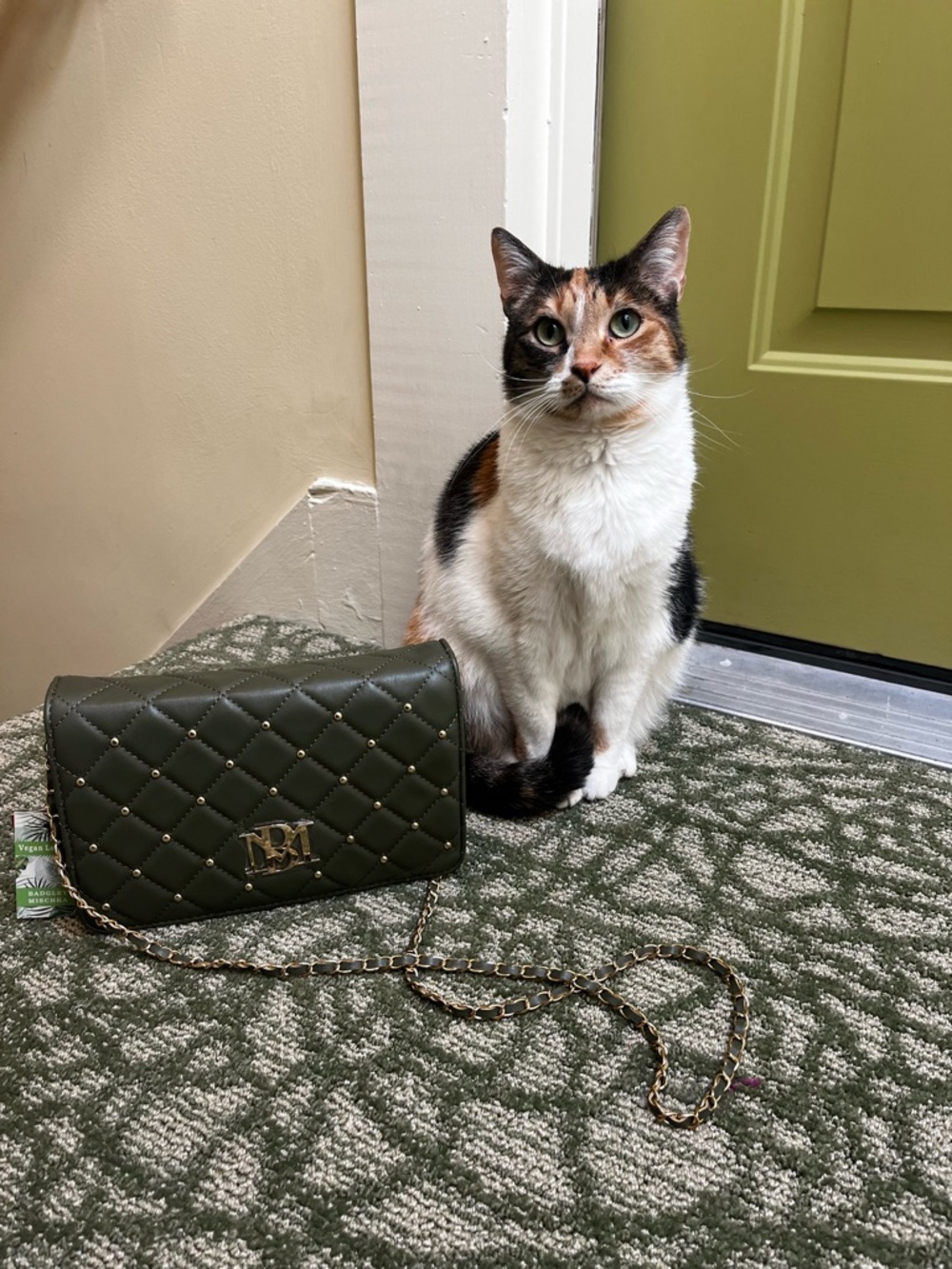 🪩🌟GIVVY !!🌟🪩 Badgley Mischka Olive Green Big Diamond Crossbody With Gold Studs - Picture 2 of 3